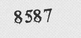 CAPTCHA code